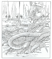 A coloring page of nature in the backyard